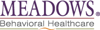 Meadows Behavioral Healthcare