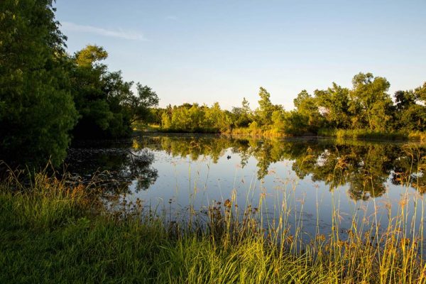 Serenity View pond